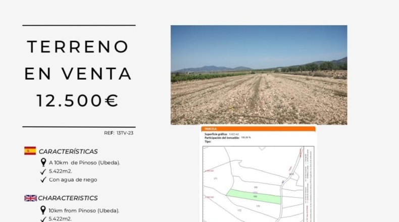 Alicante - Pinoso - 5422m2