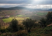 Sòl urbà en venda a la EX-320, La Lapa, ref.: TR90812 foto