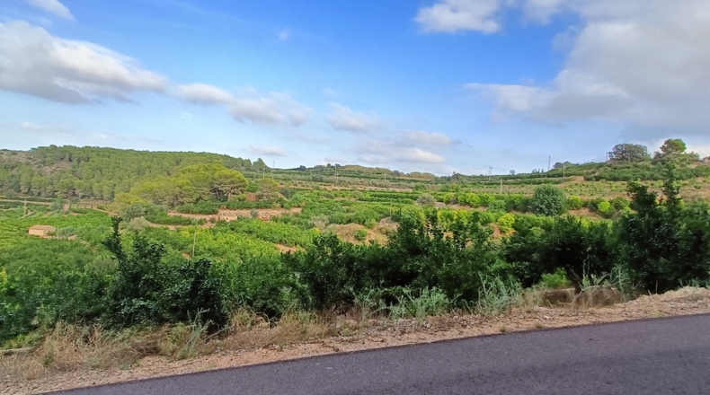 Valencia - Almiserat - 33000m2