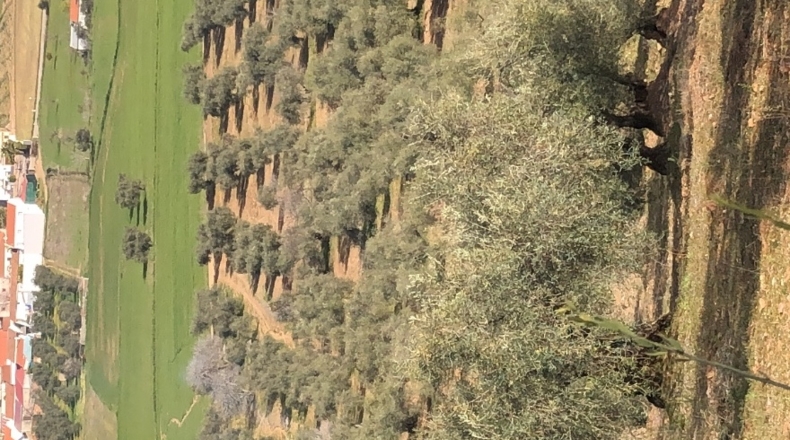 Badajoz - La Lapa - 10000m2