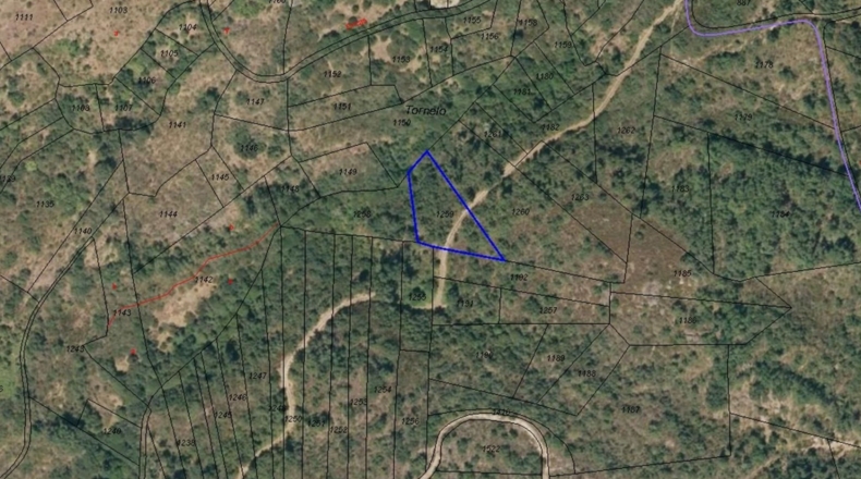 Orense - Enxames - 12147m2
