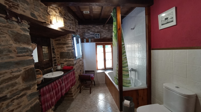 Asturias - Santa Eulalia de Oscos - 476m2