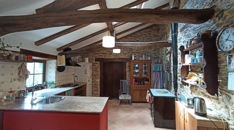 Asturias - Santa Eulalia de Oscos - 476m2