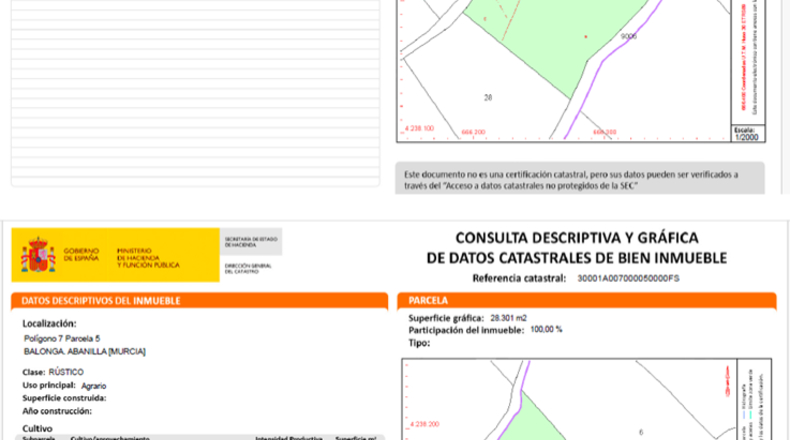 Múrcia - Balonga - 40000m2