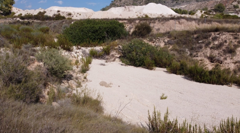 Múrcia - Balonga - 40000m2