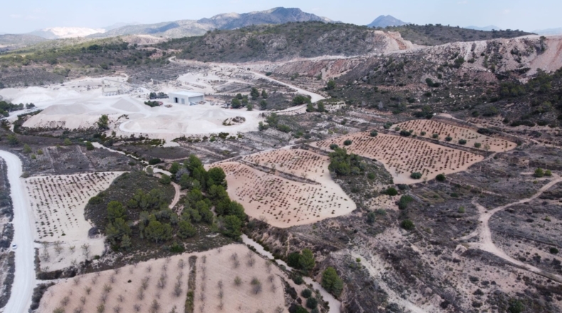 Múrcia - Balonga - 40000m2