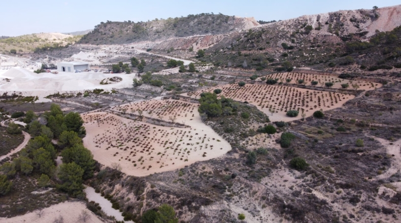 Múrcia - Balonga - 40000m2