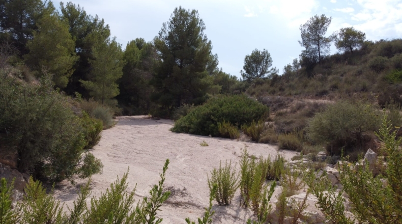 Múrcia - Balonga - 40000m2