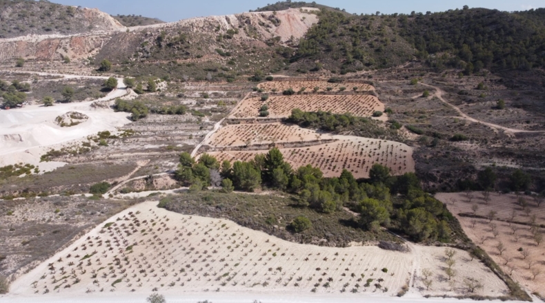 Múrcia - Balonga - 40000m2