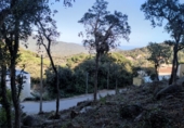 Parcela urbanizable en venta en la Serra Brava, ref: TR90826 foto