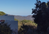 Parcela urbanizable en venta en la Serra Brava, ref: TR90826 foto