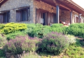 Rural estate for sale on las ollas, Cuacos de Yuste, ref: TR90838 photo