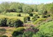 Rural estate for sale on las ollas, Cuacos de Yuste, ref: TR90838 photo