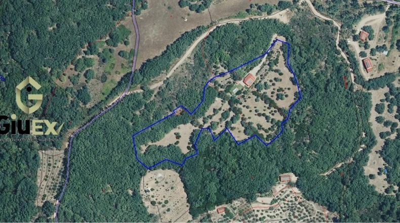 Cáceres - Cuacos de Yuste - 26500m2