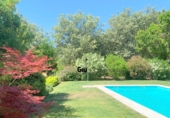 Rural estate for sale on las ollas, Cuacos de Yuste, ref: TR90838 photo
