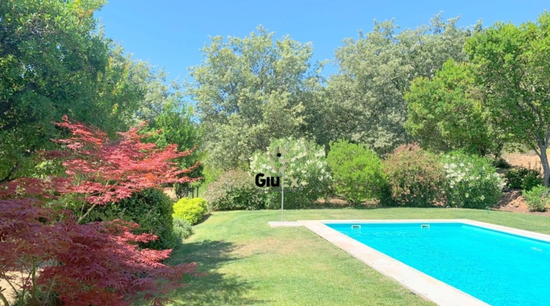 Cáceres - Cuacos de Yuste - 26500m2