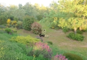 Rural estate for sale on las ollas, Cuacos de Yuste, ref: TR90838 photo