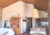 Rural estate for sale on las ollas, Cuacos de Yuste, ref: TR90838 photo