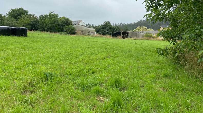 Asturias - Berbesa - 10000m2