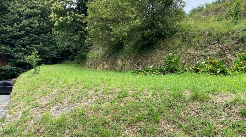 Asturias - Berbesa - 10000m2