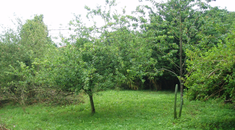 Cantàbria - Helguero - 250m2