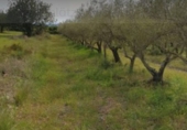 Parcela urbanizable en venta en la Camí de les Foies, Benicarló, ref: TR90846 foto