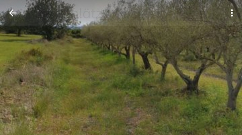 Castellón - Benicarló - 27000m2