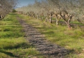 Parcela urbanizable en venta en la Camí de les Foies, Benicarló, ref: TR90846 foto