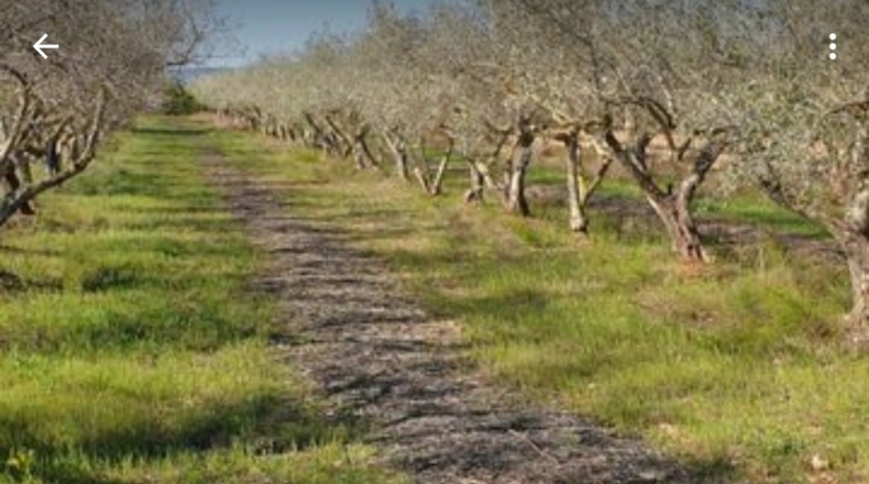 Castellón - Benicarló - 27000m2