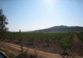 Terreny amb magatzem en venda a la RM-714, Caravaca de la Cruz, ref.: TR90849 foto