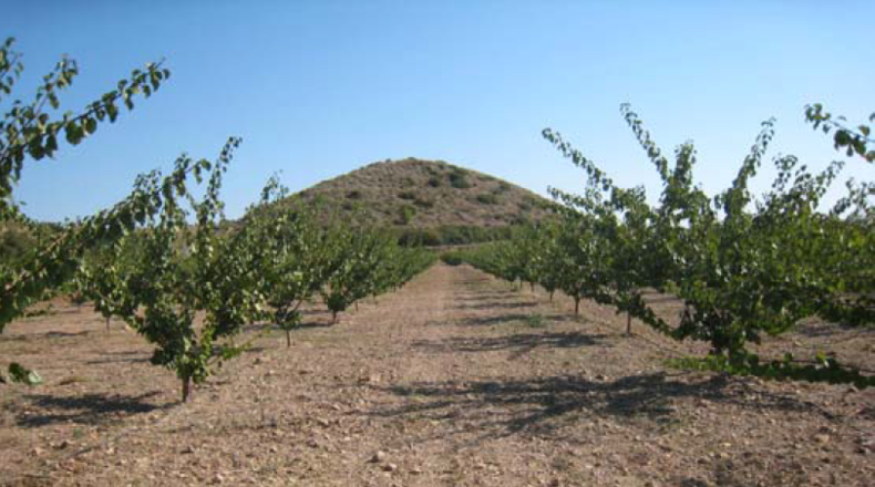 Murcia - Caravaca de la Cruz - 157000m2