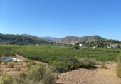 Terreny amb magatzem en venda a la RM-714, Caravaca de la Cruz, ref.: TR90849 foto