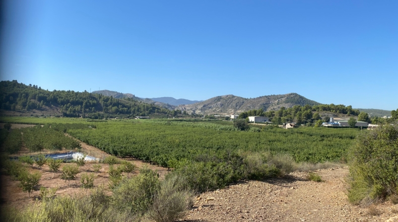 Murcia - Caravaca de la Cruz - 157000m2