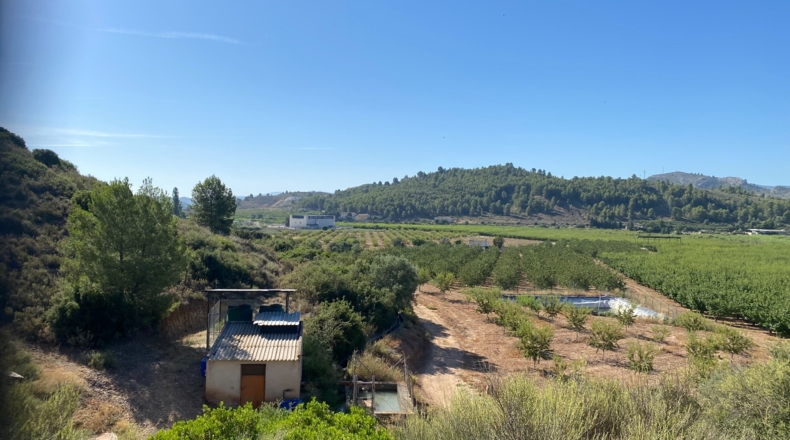 Murcia - Caravaca de la Cruz - 157000m2