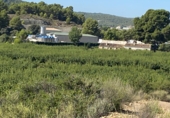 Terreny amb magatzem en venda a la RM-714, Caravaca de la Cruz, ref.: TR90849 foto