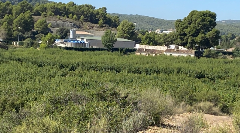 Murcia - Caravaca de la Cruz - 157000m2