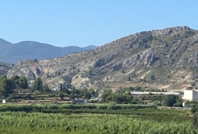 Foto 12