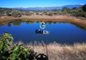 Finca rústica en venta en la tejeda de tietar, Tejeda de Tiétar, ref: TR90869 foto