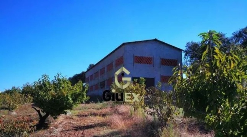 Cáceres - Tejeda de Tiétar - 160000m2
