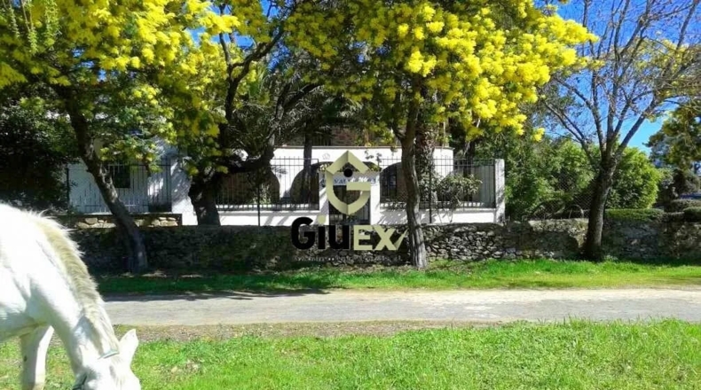 Cáceres - Tejeda de Tiétar - 160000m2