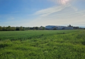 Non-developable land for sale on Lobaces, ref: TR90999 photo