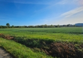 Non-developable land for sale on Lobaces, ref: TR90999 photo