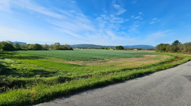 Orense - Trasmiras - 21070m2