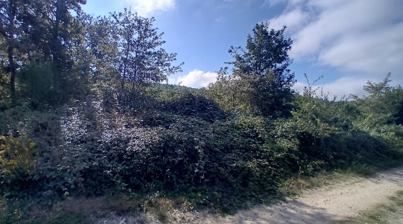 Orense - Gueral de Abaixo - 1295m2