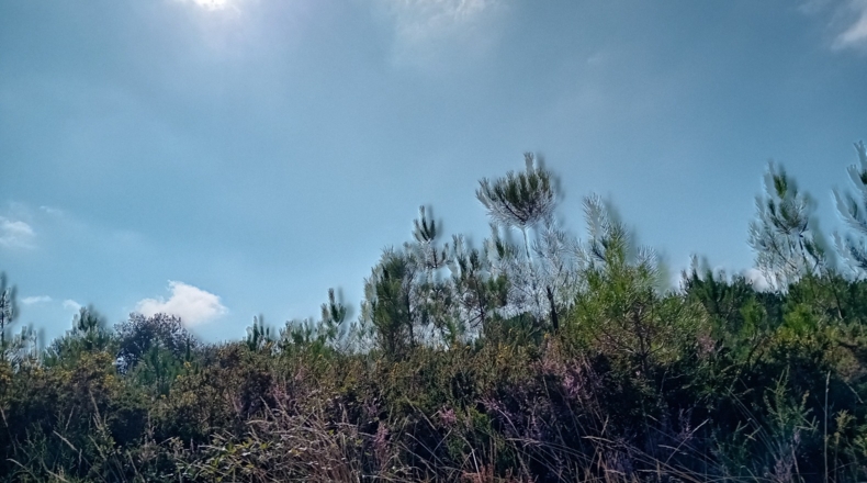 Orense - Gueral de Abaixo - 3122m2