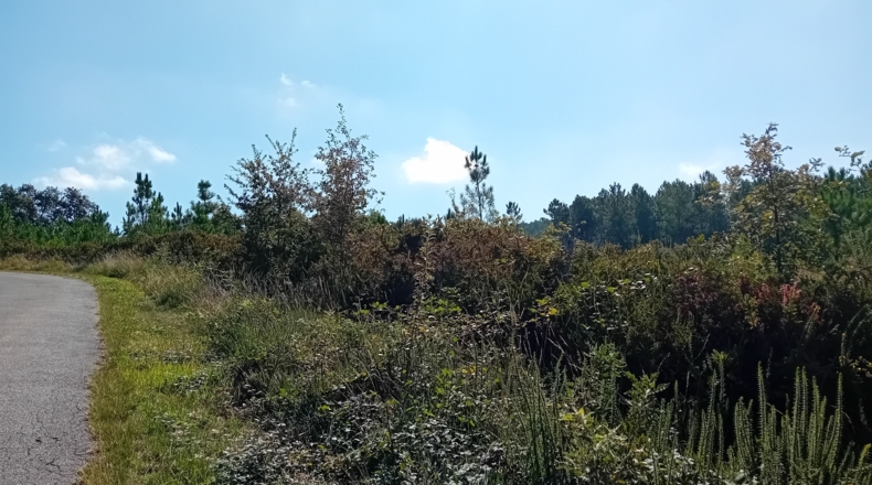 Orense - Gueral de Abaixo - 3122m2