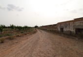 Industrial warehouse for sale on Camino de la loma 22, Foios, ref: TR91170 photo