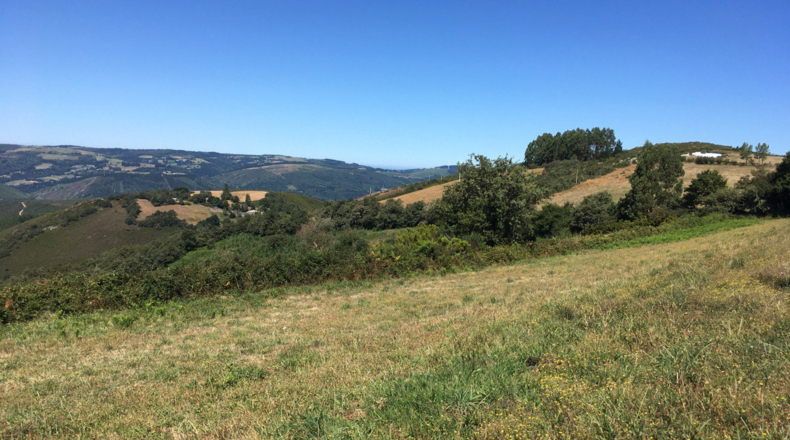 Lugo - Caldoval - 2750m2