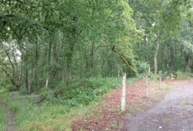 Coalloso 7033&nbsp;m² 