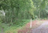 Non-developable land for sale on Coalloso, ref: TR91579 photo